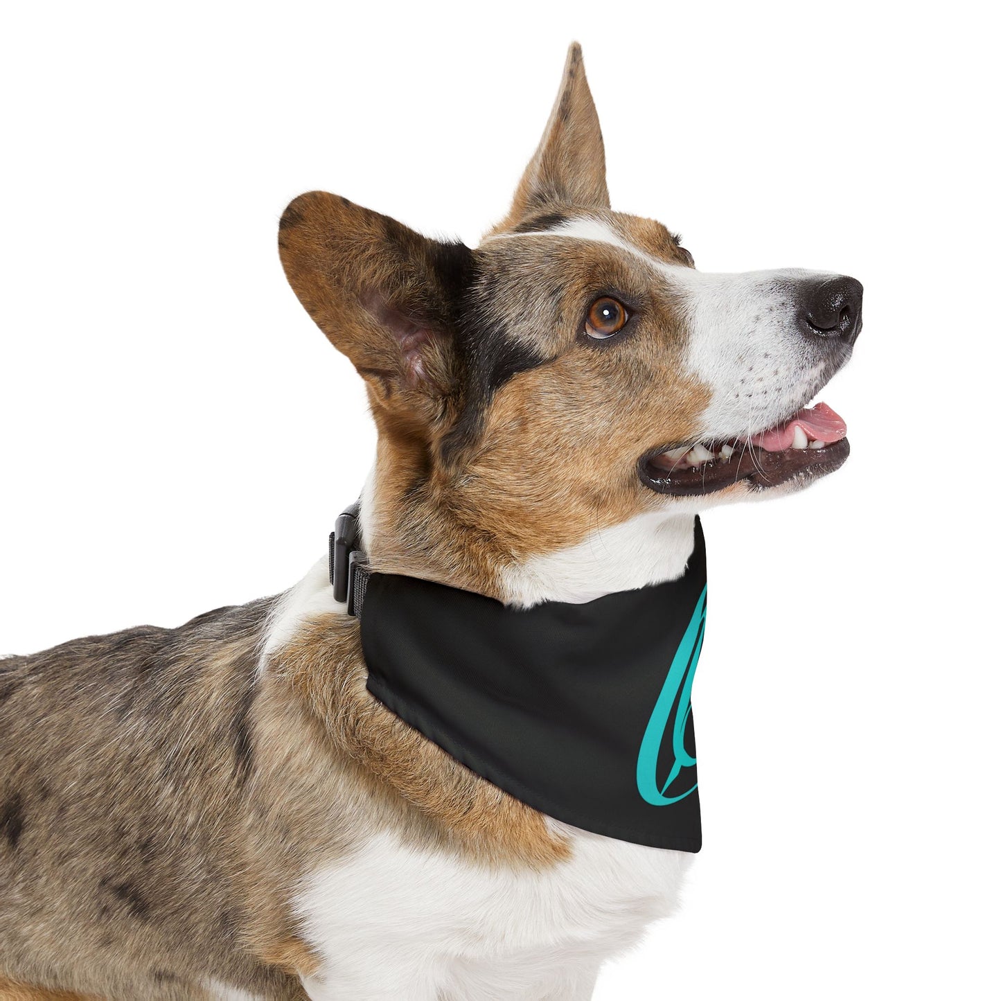COH pet bandana