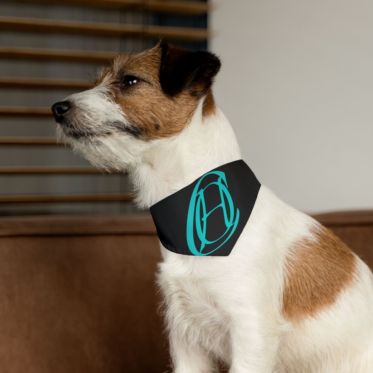 COH pet bandana